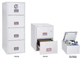 Phoenix World Class Vertical Fire File FS2270 Series