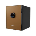 LS6011FG