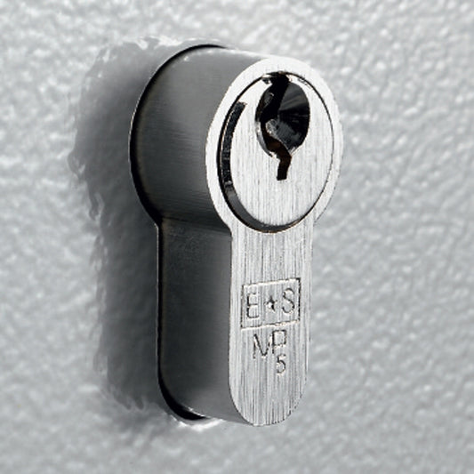 SYSTEM 48/PHZ WITH EURO PROFILE CYLINDER DEADLOCK