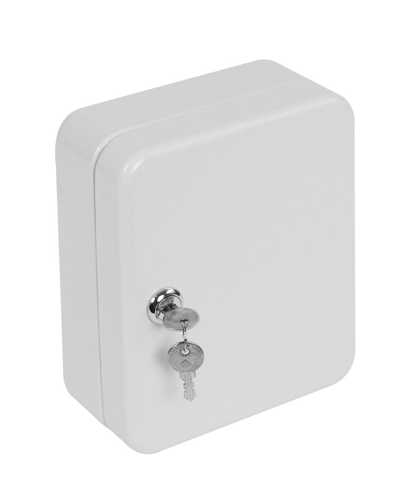 Phoenix 20 Hook Key Box KC0026K with Key Lock - my-beautiful-safes